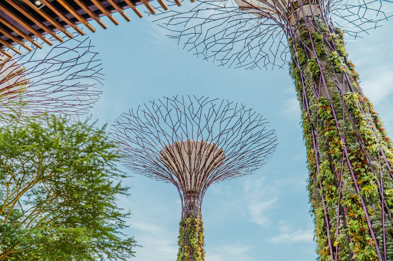 Sustainability Appraisals Demystified: Balancing Development with Environmental Responsibility